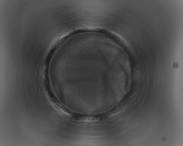 X0000091950736200710041007