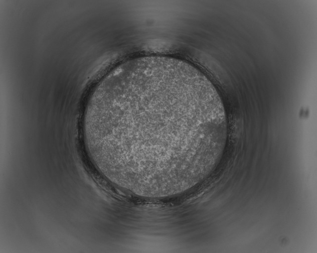 X0000091950738200710041007