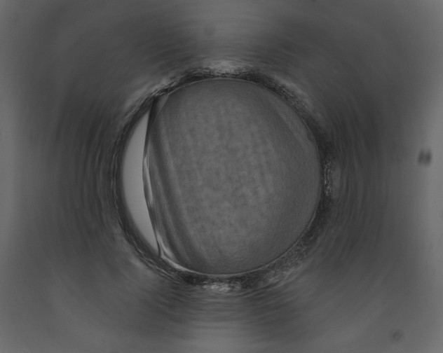 X0000091950740200710041007