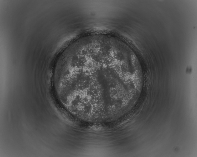 X0000091950742200710041007