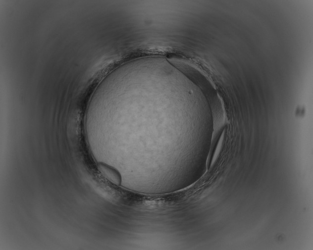 X0000091950744200710041007