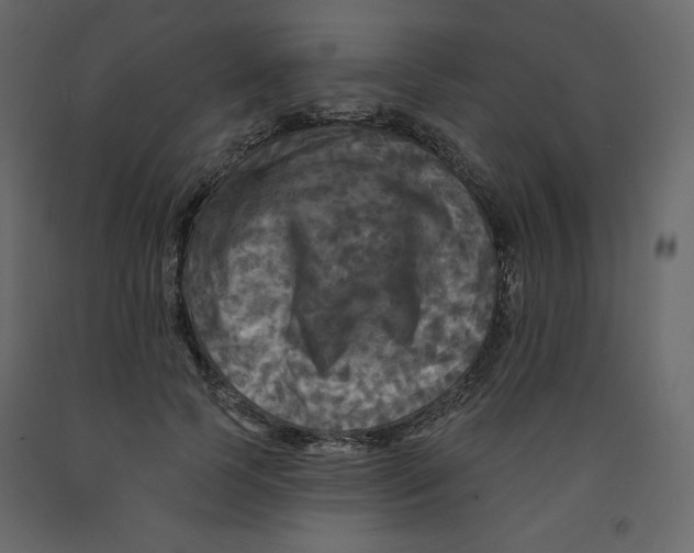 X0000091950745200710041007