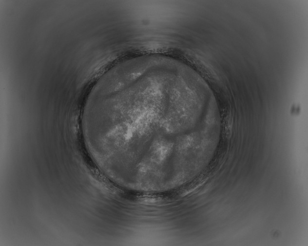 X0000091950746200710041007