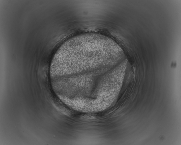 X0000091950747200710041007