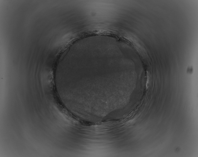 X0000091950748200710041007
