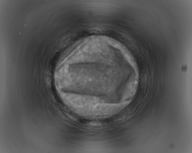 X0000091950749200710041007