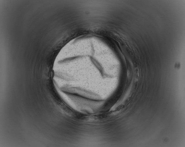X0000091950750200710041007