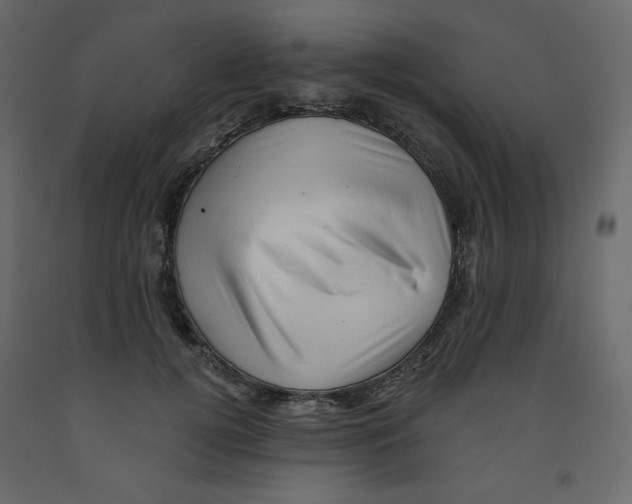 X0000091950752200710041007