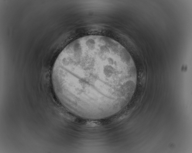 X0000091950753200710041007