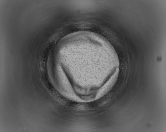 X0000091950755200710041007