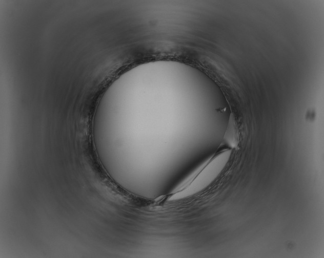 X0000091950756200710041007