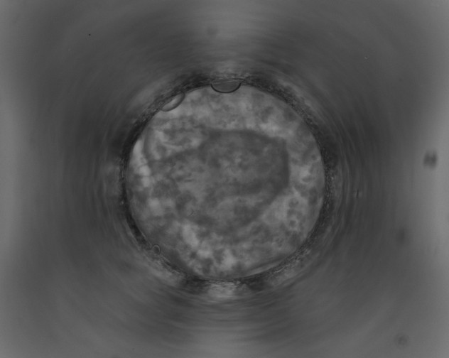 X0000091950757200710041007