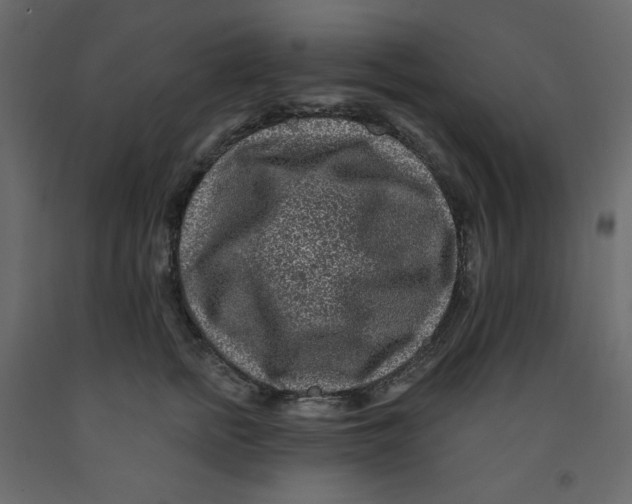 X0000091950758200710041008