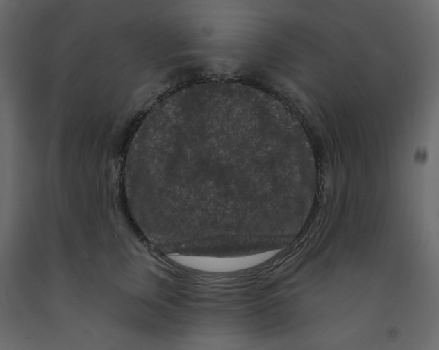 X0000091950759200710041008