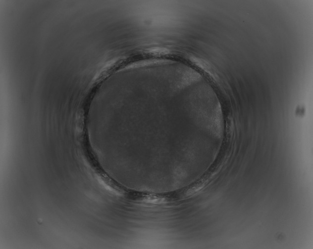 X0000091950760200710041008