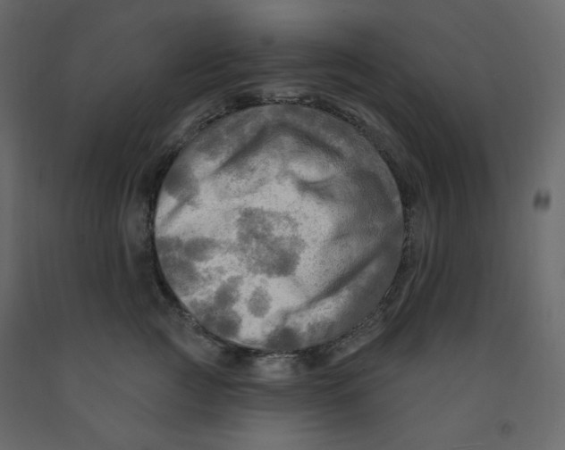 X0000091950761200710041008
