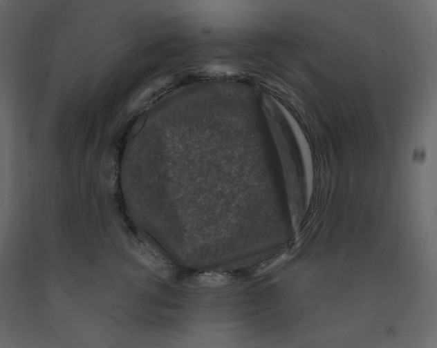 X0000091950762200710041008