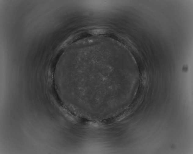 X0000091950763200710041008