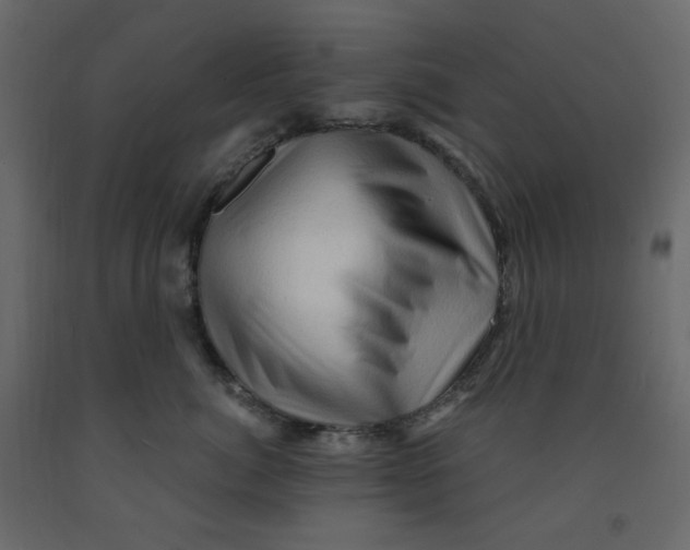 X0000091950764200710041008