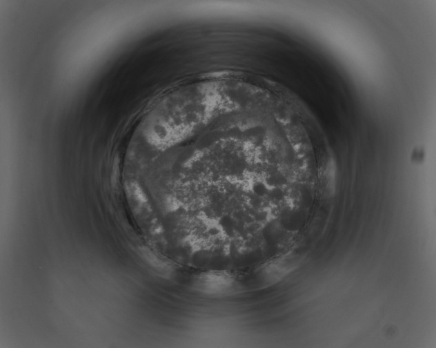 X0000091950765200710041008