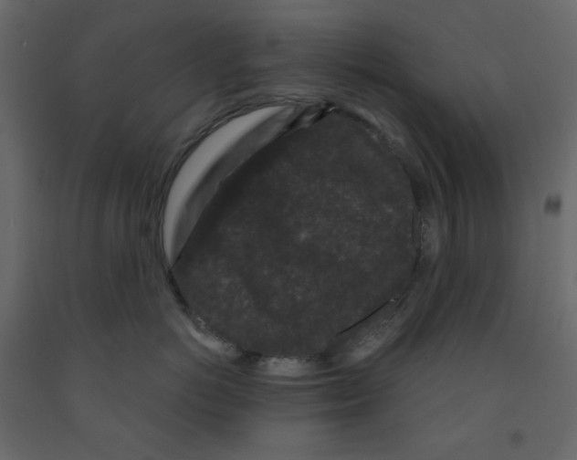 X0000091950766200710041008