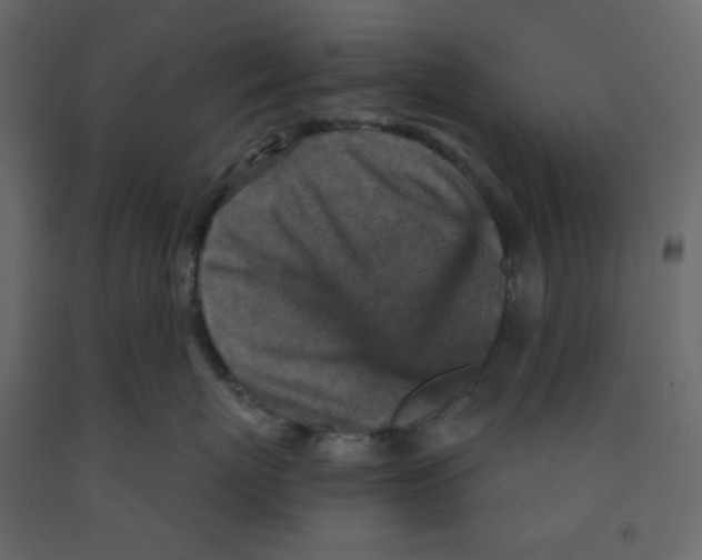 X0000091950767200710041008