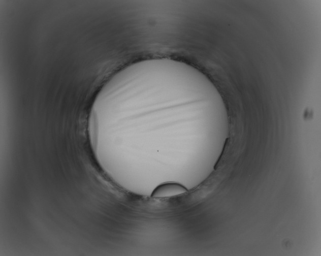 X0000091950768200710041008