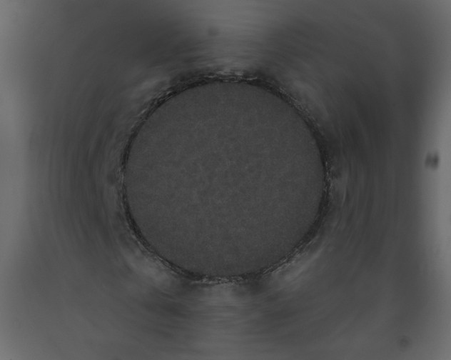 X0000091950769200710041007