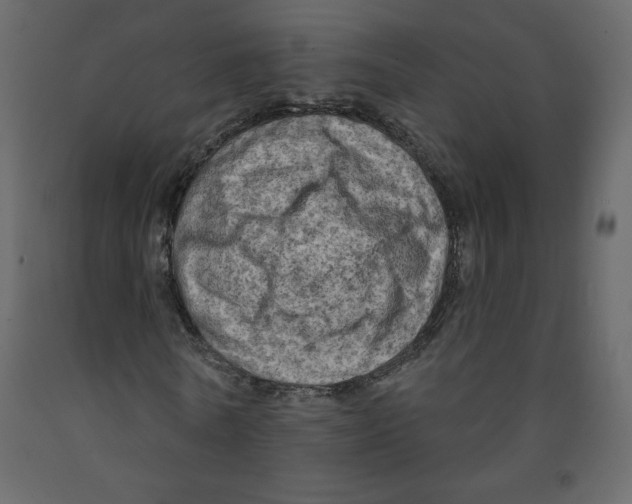 X0000091950770200710041007