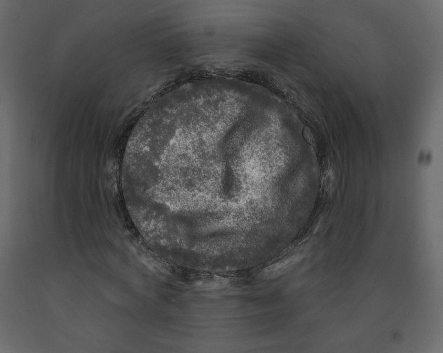 X0000091950772200710041007