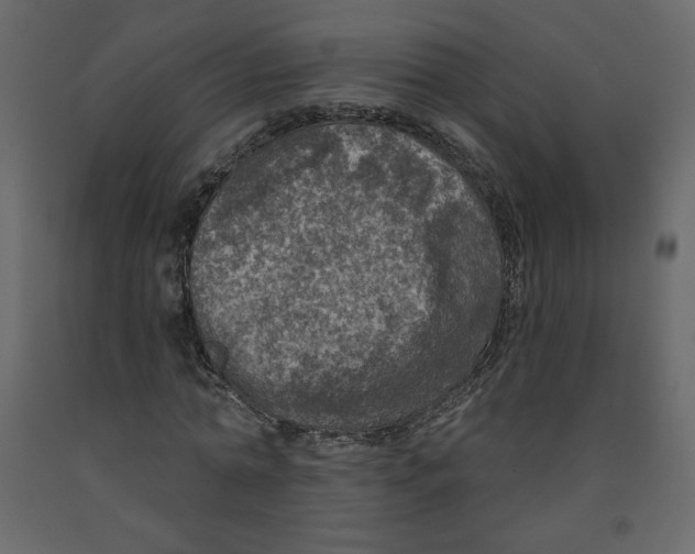X0000091950774200710041007