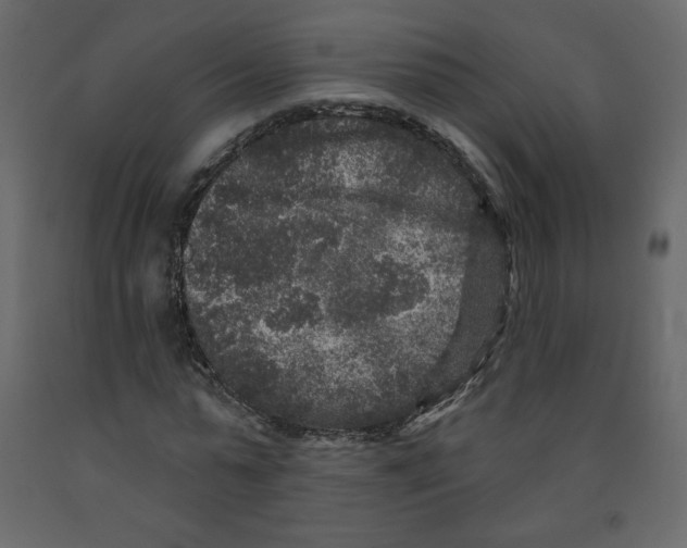 X0000091950775200710041007