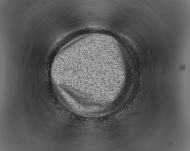 X0000091950776200710041007