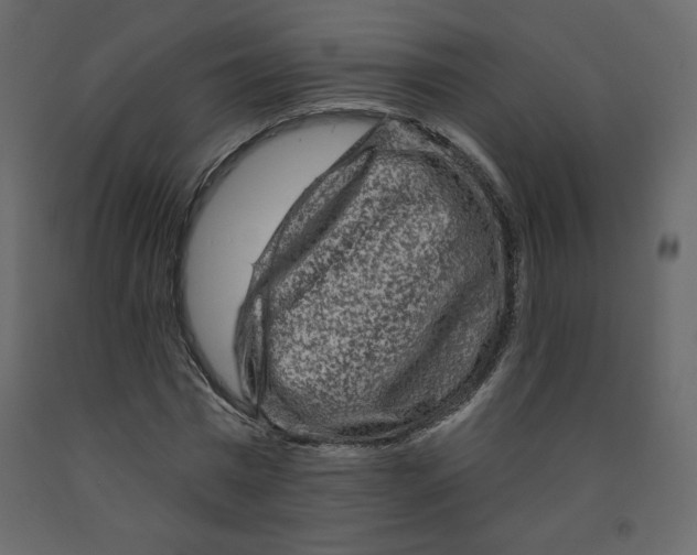 X0000091950777200710041007