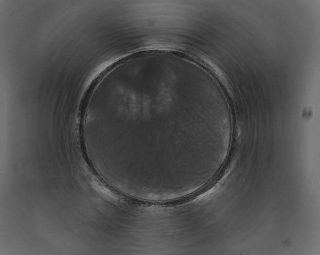 X0000091950779200710041007