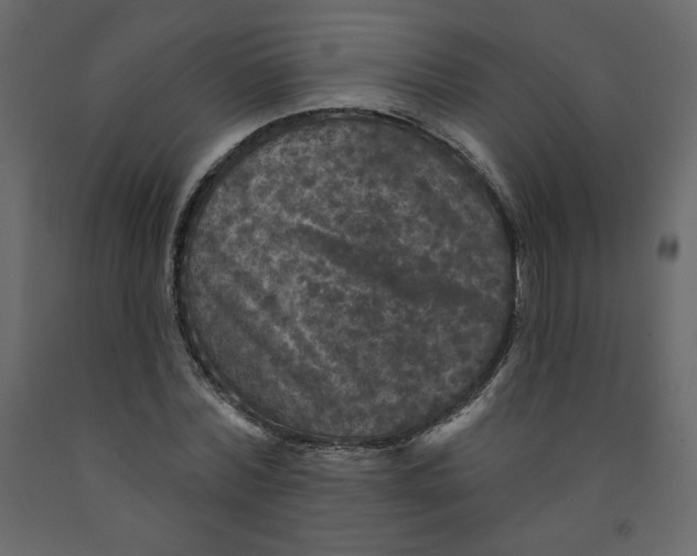 X0000091950780200710041007