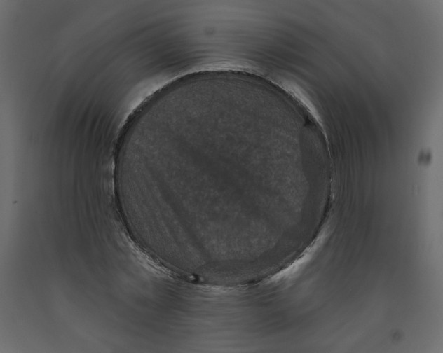X0000091950781200710041007