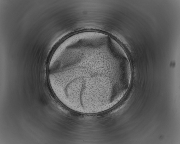 X0000091950782200710041007