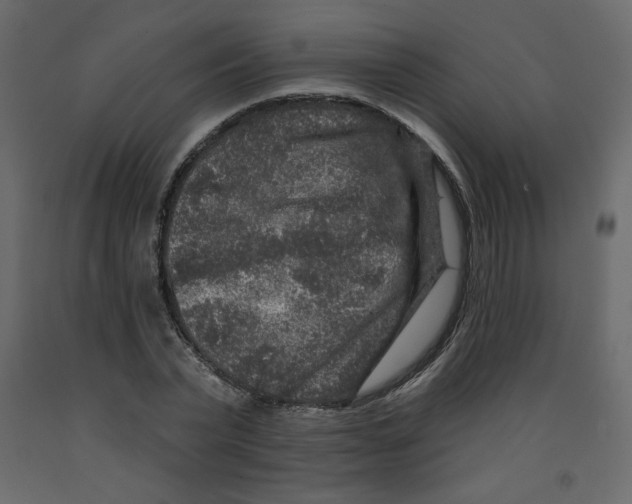 X0000091950783200710041007