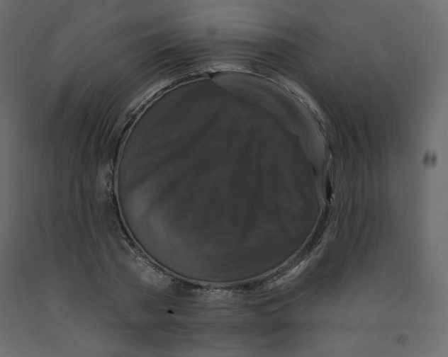X0000091950785200710041007