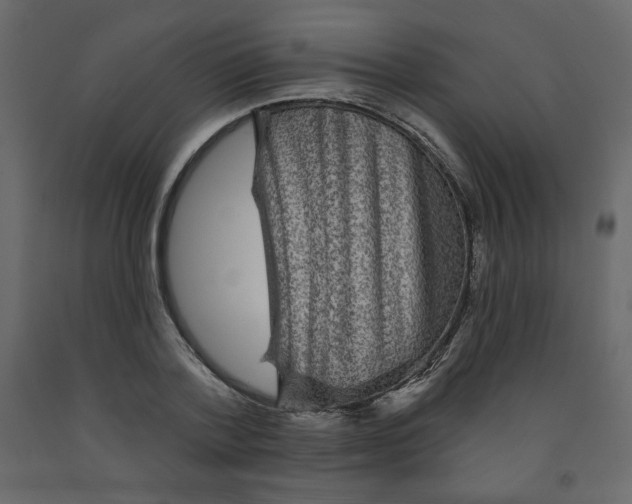 X0000091950788200710041007