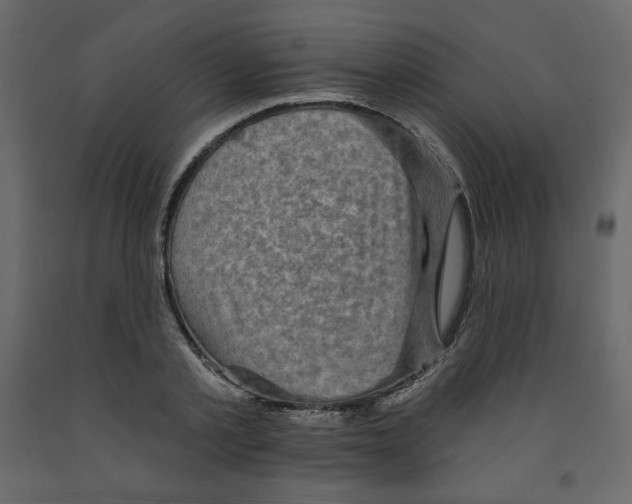 X0000091950789200710041007