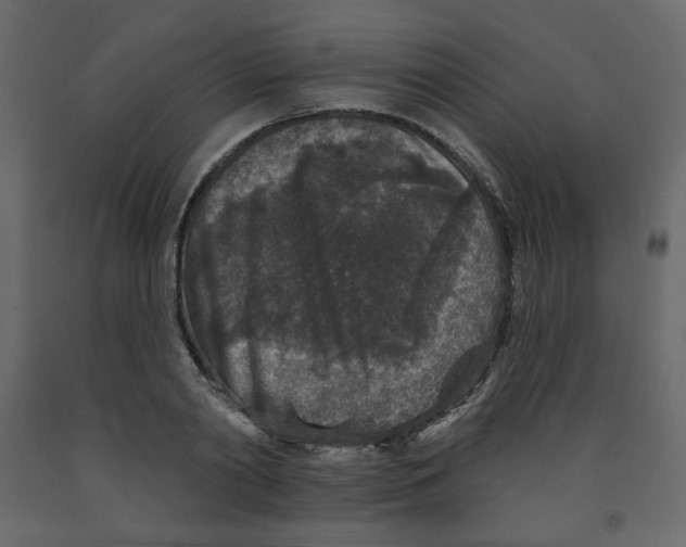 X0000091950790200710041007