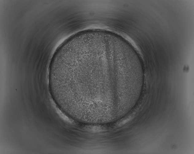 X0000091950791200710041007