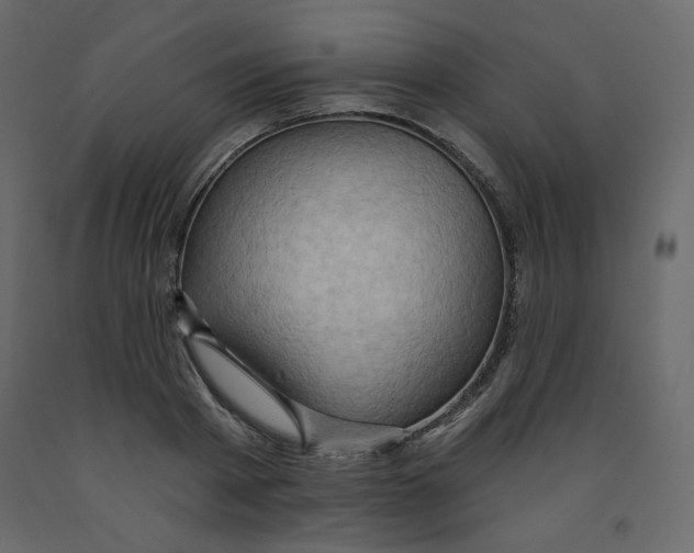 X0000091950793200710041007