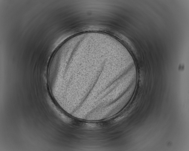 X0000091950794200710041007