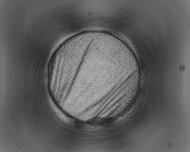 X0000091950795200710041007