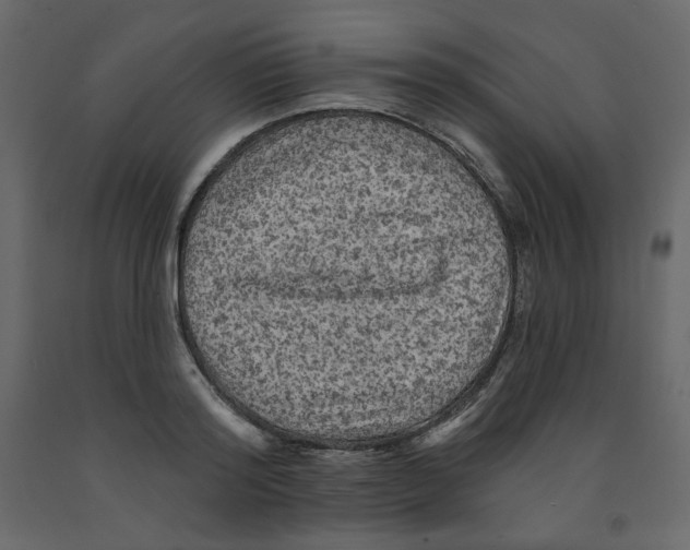X0000091950796200710041007