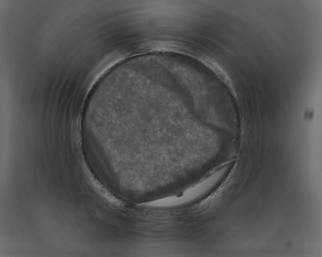 X0000091950798200710041007