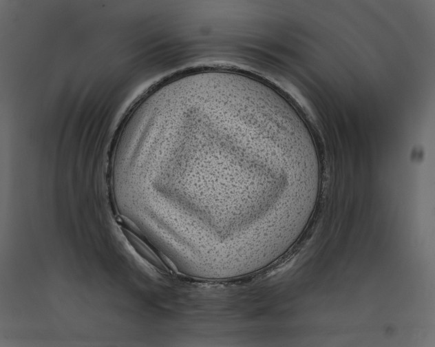 X0000091950799200710041007
